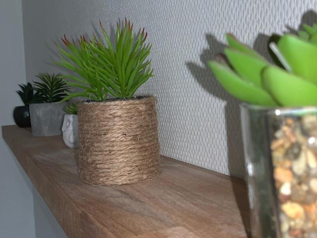 Studio N5 Terrasse Hypercentre Daire Blois Dış mekan fotoğraf